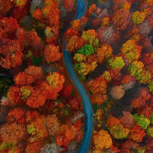 خون کاوی یاری یاری کاشکی